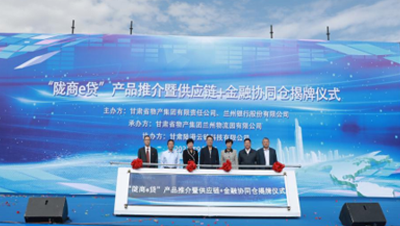 通過發(fā)行公司債券、不動產(chǎn)投資信托基金（REITs）、培育上市公司等債權(quán)、股權(quán)融資工具和發(fā)起設(shè)立產(chǎn)業(yè)基金，拓寬多元化融資渠道；提供貨物在途監(jiān)管和在庫監(jiān)管，引入銀行、信托等金融機構(gòu)，開展倉單質(zhì)押、保理等業(yè)務(wù)；逐步拓展B2B供應(yīng)鏈服務(wù)平臺服務(wù)范圍，通過倉配一體化、“隴易商”、供應(yīng)鏈+金融為區(qū)域流通行業(yè)及相關(guān)產(chǎn)業(yè)客戶提供“四流合一”的完整供應(yīng)鏈服務(wù)解決方案。